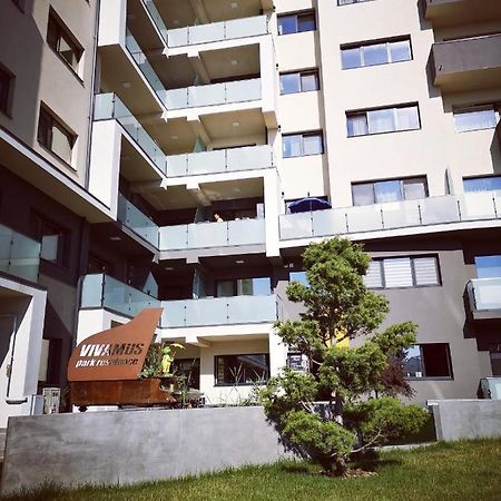 Vivamus Studio Braşov Exterior foto
